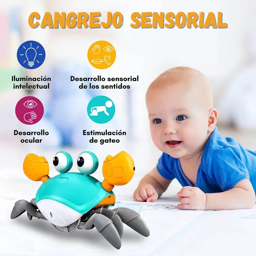 😲CANGREJO SENSORIAL😍