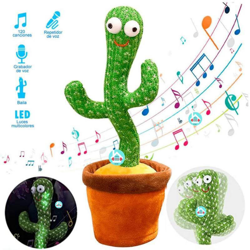 😍CACTUS BAILARÍN🌵